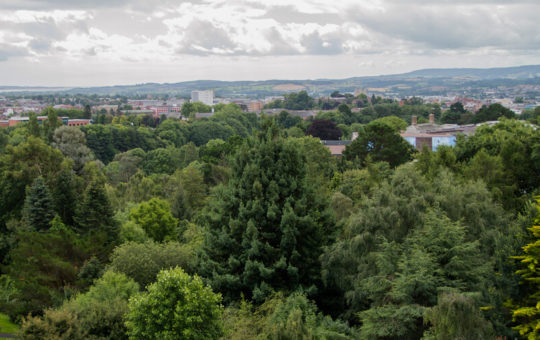Streatham Trees