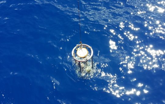 A Secchi disk being lowered into the sea on a rope
