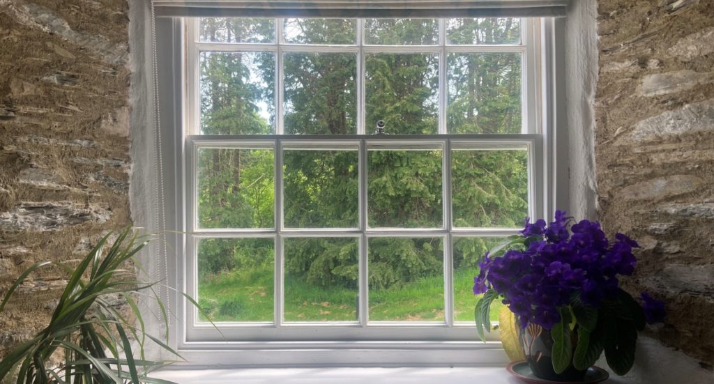 Trees and grass seen through a window