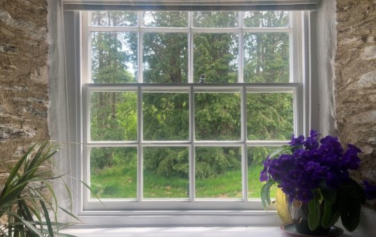 Trees and grass seen through a window