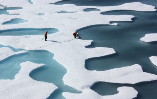 Arctic sea ice
